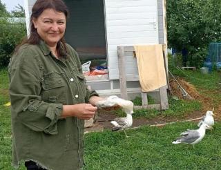 Inna Zhuravleva rescues injured birds, builds aviaries for owls and nurses nightjar chicks.